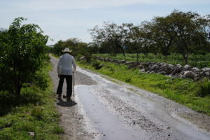 Mayor de 65 años caminando por un camino