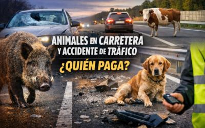 Animales en carretera y accidente de tráfico: qué cambia si es cinegético, doméstico o suelto